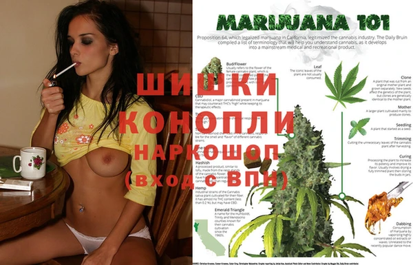 каннабис Алексин