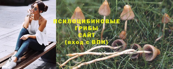 каннабис Алексин