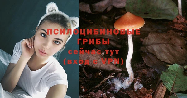 таблы Алзамай