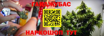 jwh Кингисепп