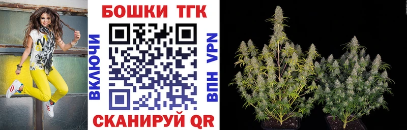 Конопля сатива  Ленинск-Кузнецкий 